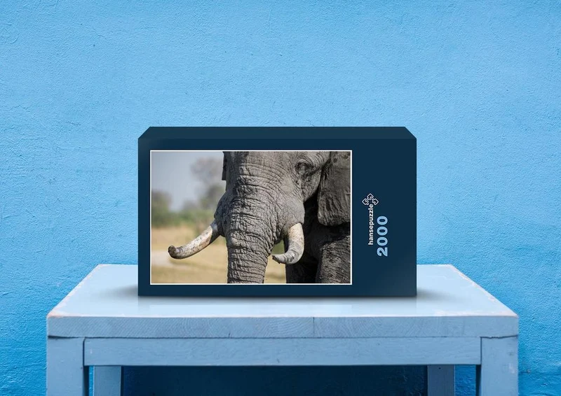 87024 Tierwelt - Elefant Puzzle