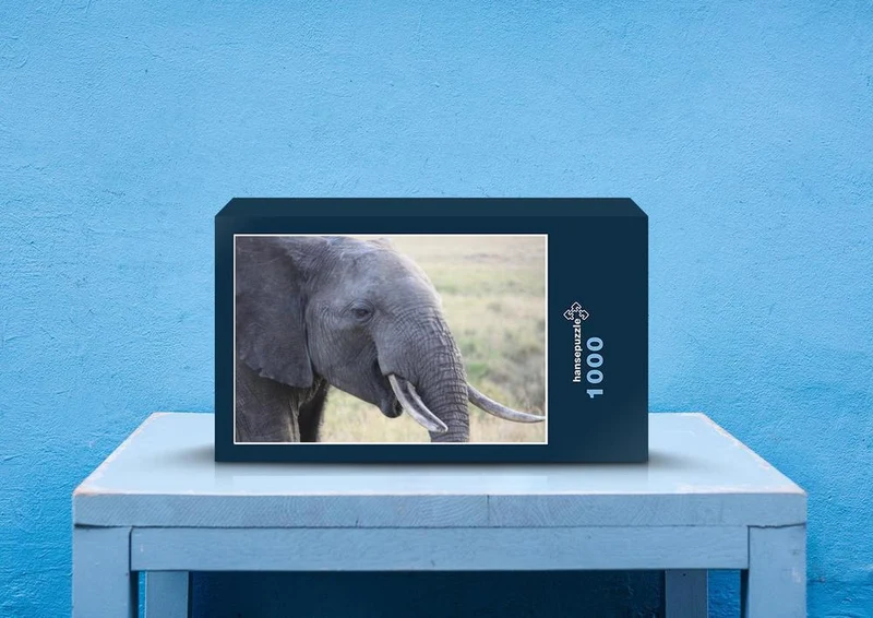87031 Tierwelt - Elefant Puzzle