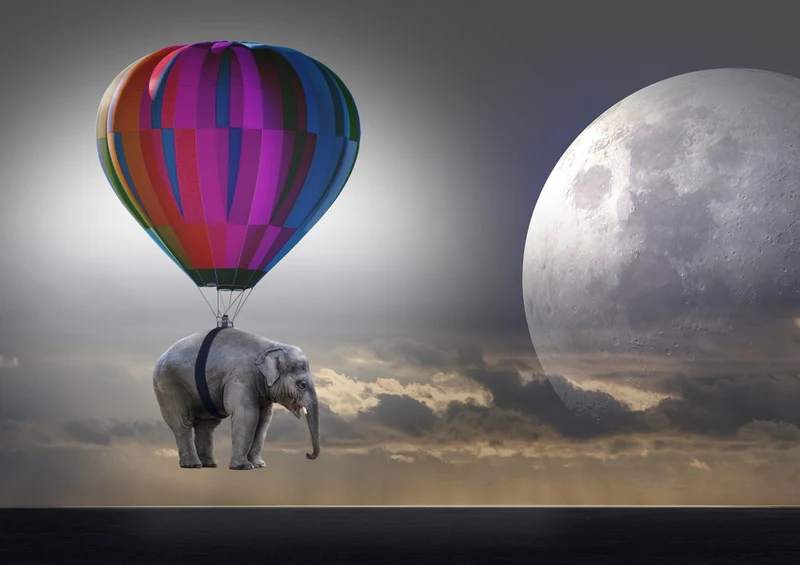 85710 Hintergründe - Elefant Puzzle