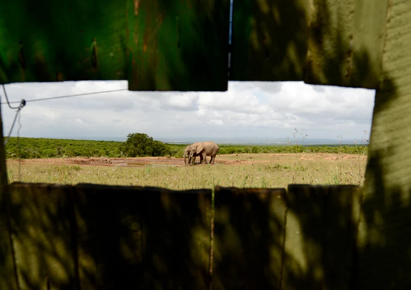 85771 Reisen - Elefant Puzzle
