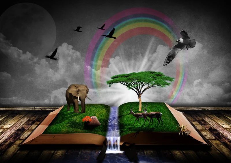 85803 Hintergründe - Afrika Puzzle