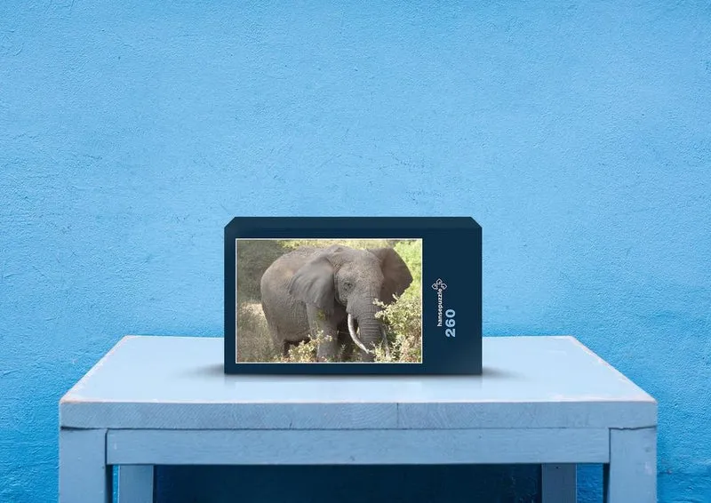 85807 Tierwelt - Elefant Puzzle