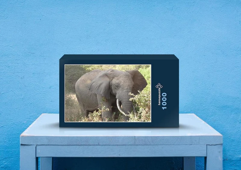 85807 Tierwelt - Elefant Puzzle