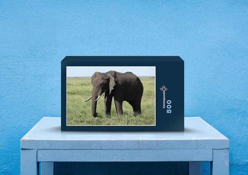 86605 Tierwelt - Elefant Puzzle