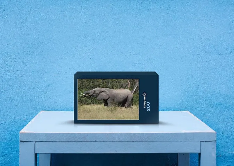 86717 Tierwelt - Elefant Puzzle