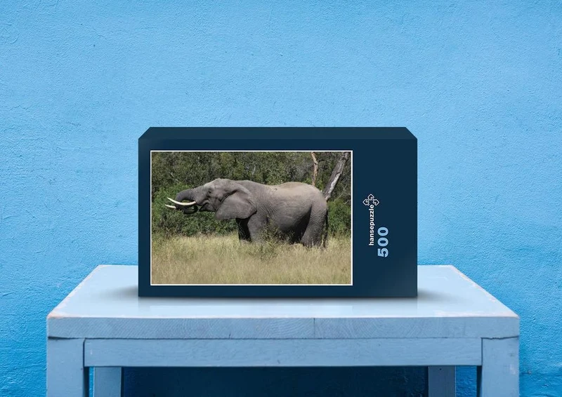 86717 Tierwelt - Elefant Puzzle