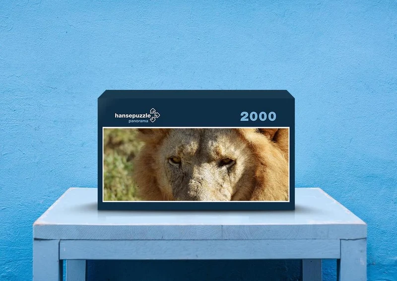 77611 Tierwelt - Löwe Puzzle