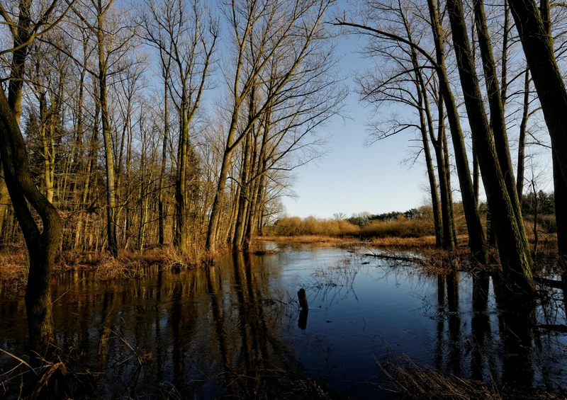 77622 Natur - Fluss Puzzle
