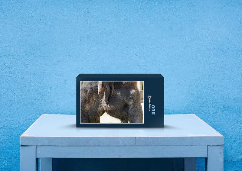 85811 Tierwelt - Elefant Puzzle