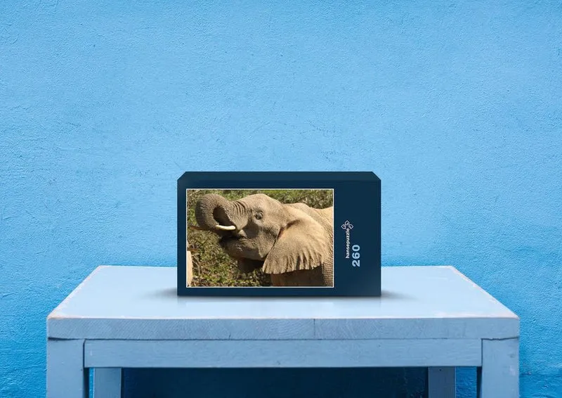 87045 Tierwelt - Elefant Puzzle