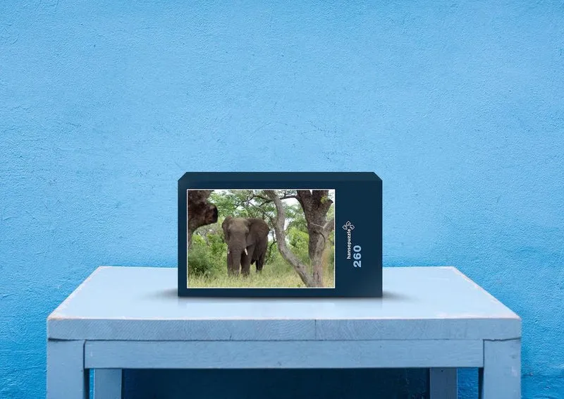 87080 Tierwelt - Elefant Puzzle