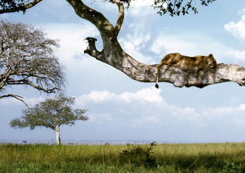 53412 Orte - Uganda Puzzle