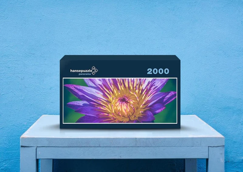 86781 Hintergründe - Blume Puzzle