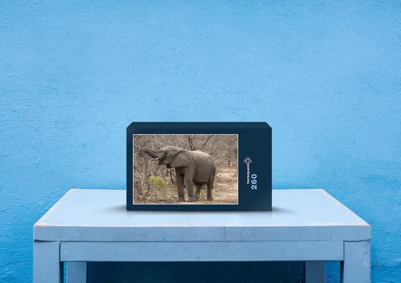 86108 Natur - Elefant Puzzle