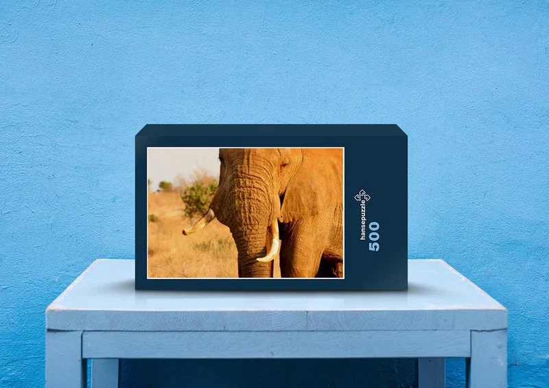 85876 Tierwelt - Elefant Puzzle