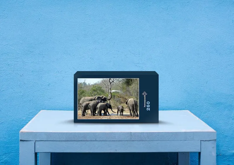 76619 Tierwelt - Elefanten Puzzle