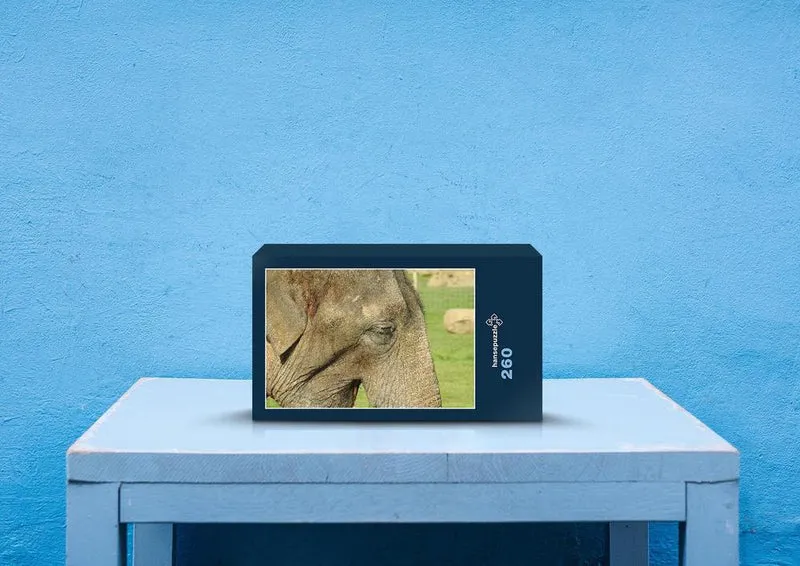 76627 Tierwelt - Elefant Puzzle