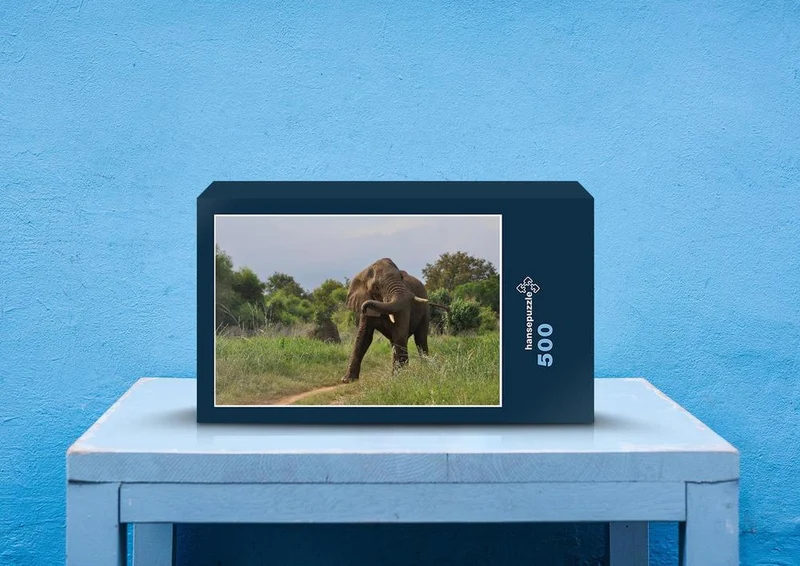 76631 Tierwelt - Afrikanischer Elefant Puzzle