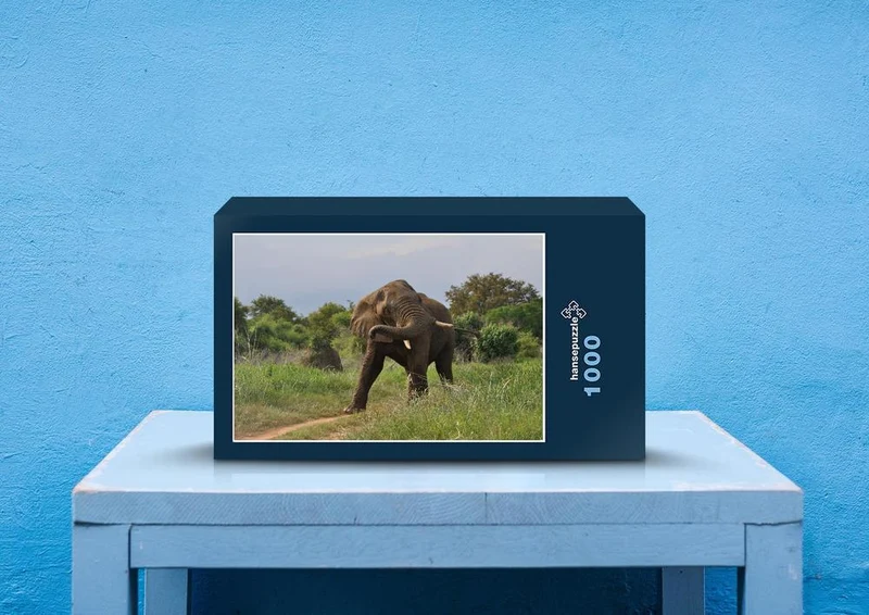 76631 Tierwelt - Afrikanischer Elefant Puzzle