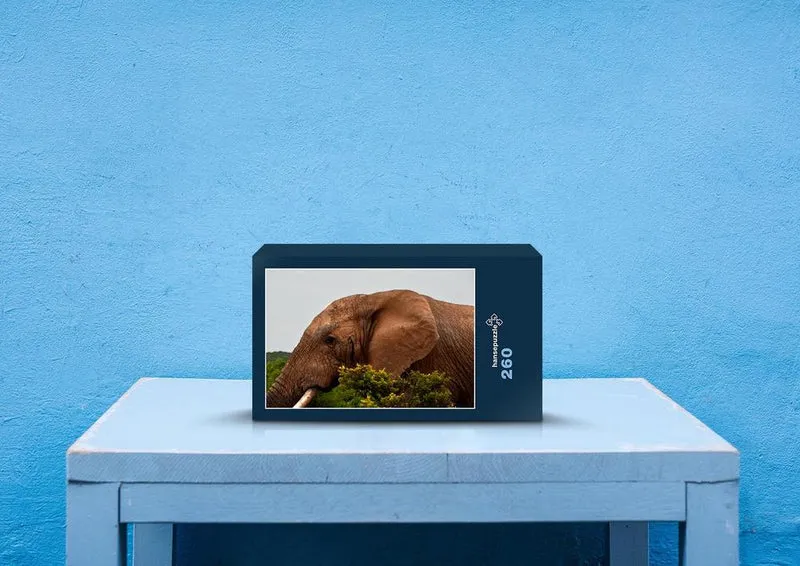 76639 Tierwelt - Elefant Puzzle