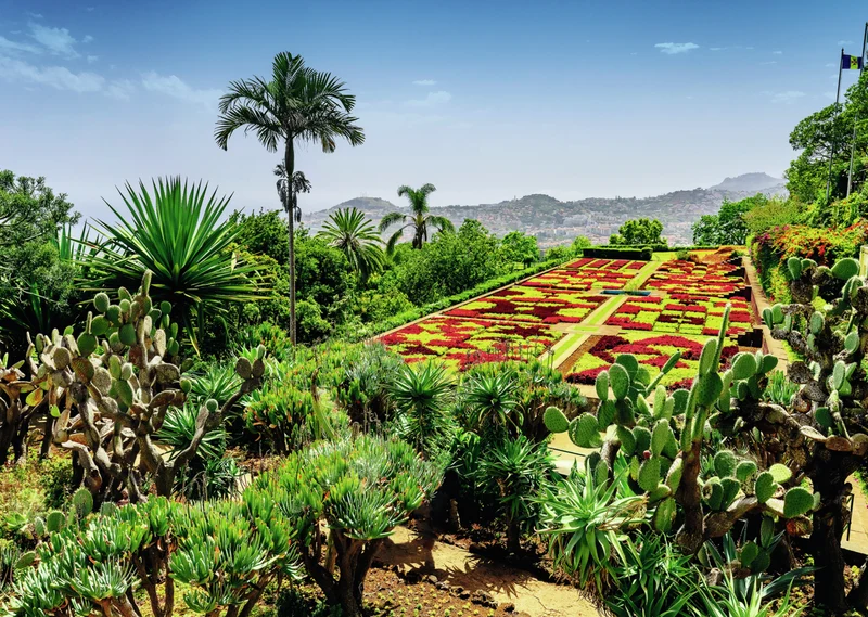 Ravensburger Exclusive - Beautiful Gardens - Botanical Garden, Madeira (1000pcs)