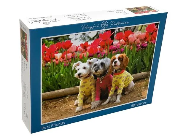 PFG Best Friends (500pcs) (Usage/Used - PUZZLES FOR GOOD)