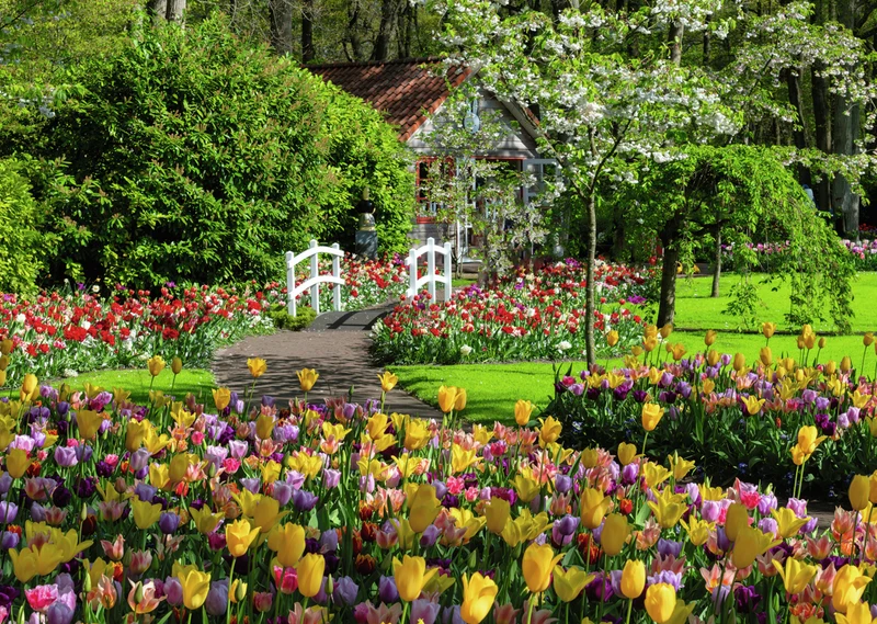 Ravensburger Exclusive - Beautiful Gardens - Keukenhof Gardens, Netherlands (1000pcs)