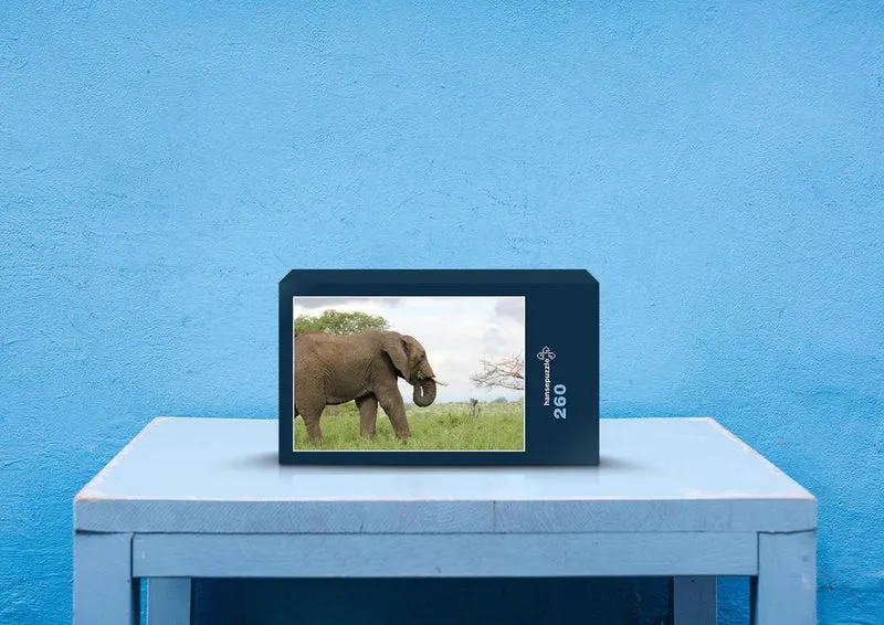 85904 Tierwelt - Elefant Puzzle