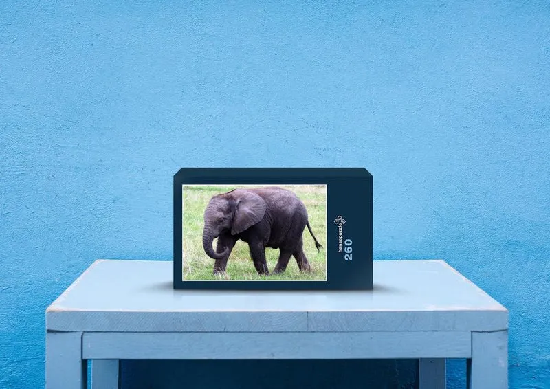 76651 Tierwelt - Elefant Puzzle