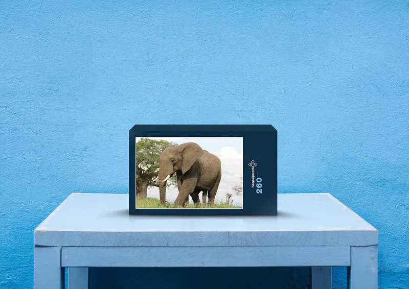 76655 Tierwelt - Elefant Puzzle