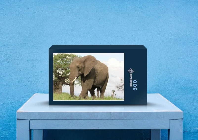76655 Tierwelt - Elefant Puzzle