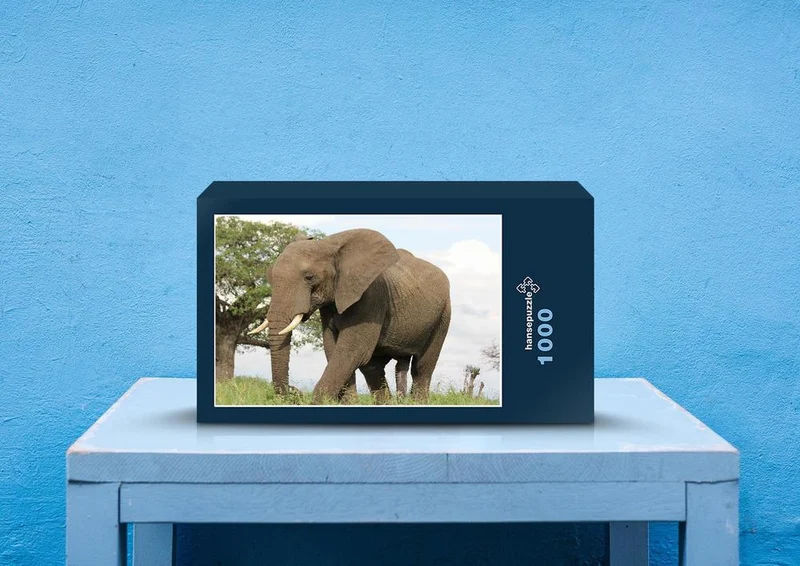 76655 Tierwelt - Elefant Puzzle