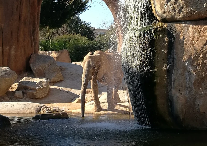 76664 Tierwelt - Elefant Puzzle