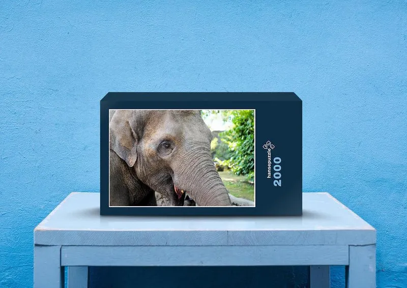 85924 Tierwelt - Elefant Puzzle