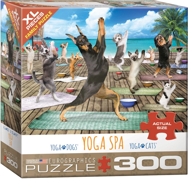 PFG Yoga Spa (300XLpcs) (Usage/Used - PUZZLES FOR GOOD)