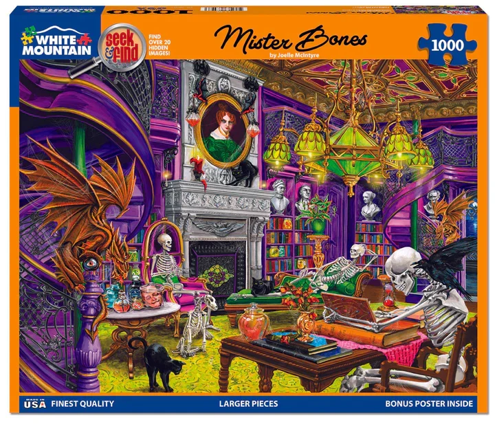 PFG Seek & Find - Mr. Bones, Joelle McIntyre (Usage/Used - PUZZLES FOR GOOD)