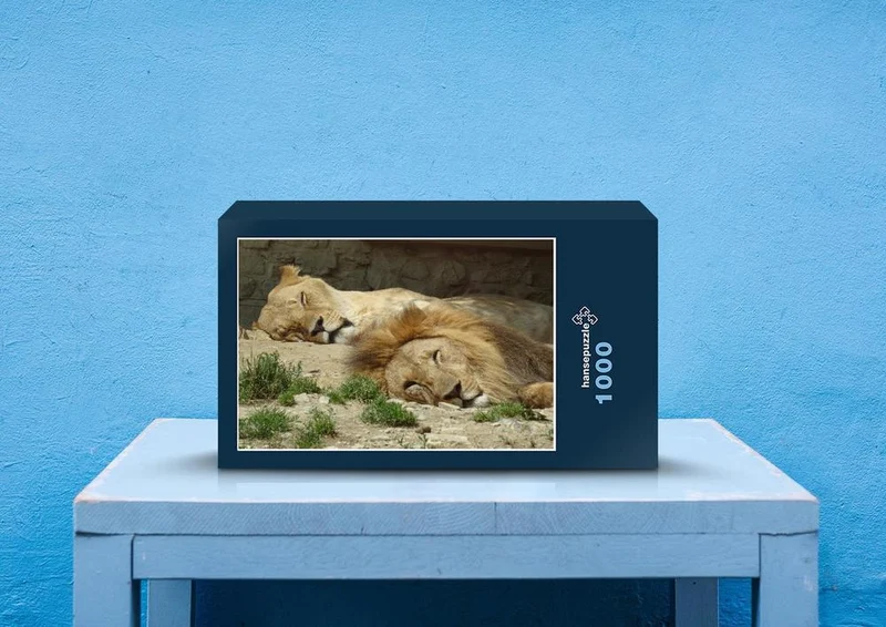 79547 Tierwelt - Löwe Puzzle