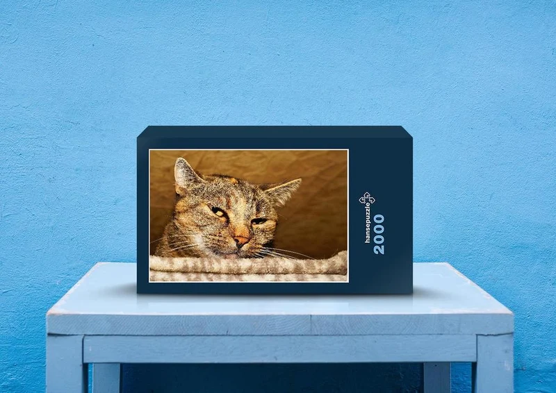 79952 Tierwelt - Katze Puzzle