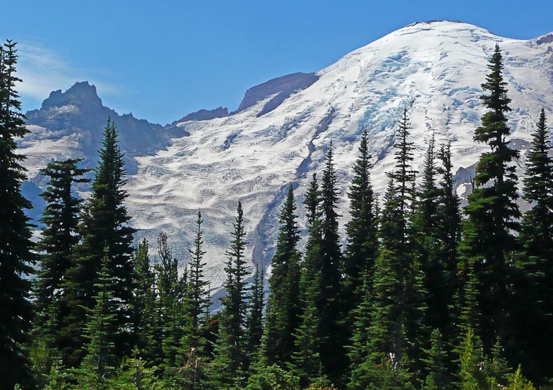 81234 Natur - Mount Rainier Puzzle