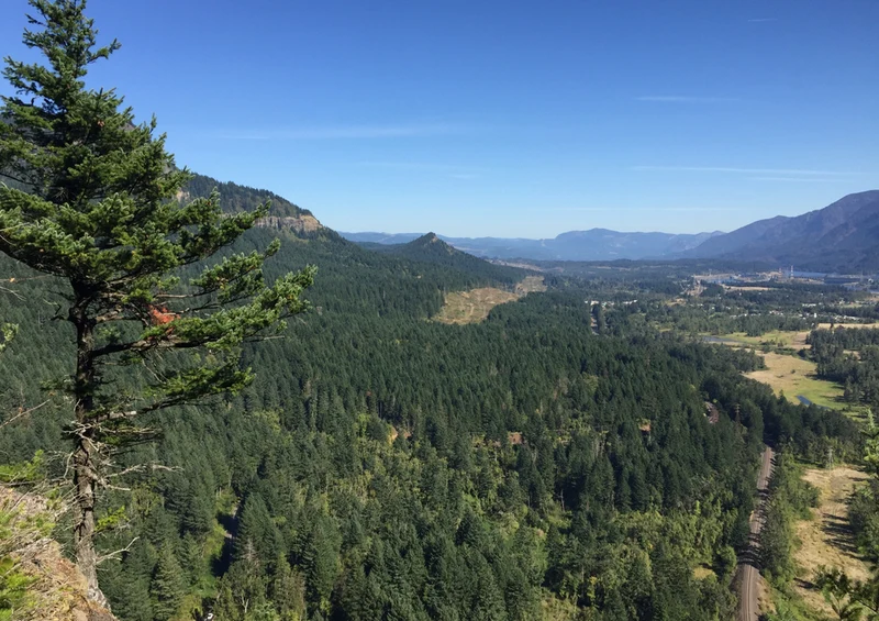 81237 Natur - Oregon Puzzle