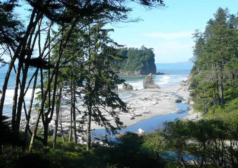 81240 Natur - Ruby Beach Puzzle
