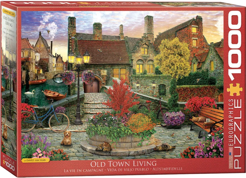PFG Old Town Living, David Mclean (Usage/Used - PUZZLES FOR GOOD)