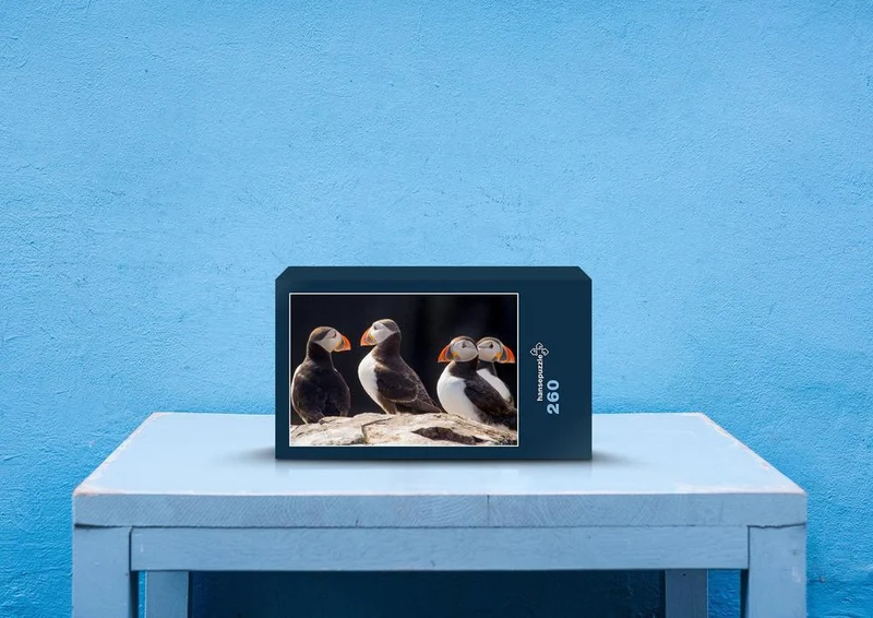 81167 Tierwelt - Papageientaucher Puzzle