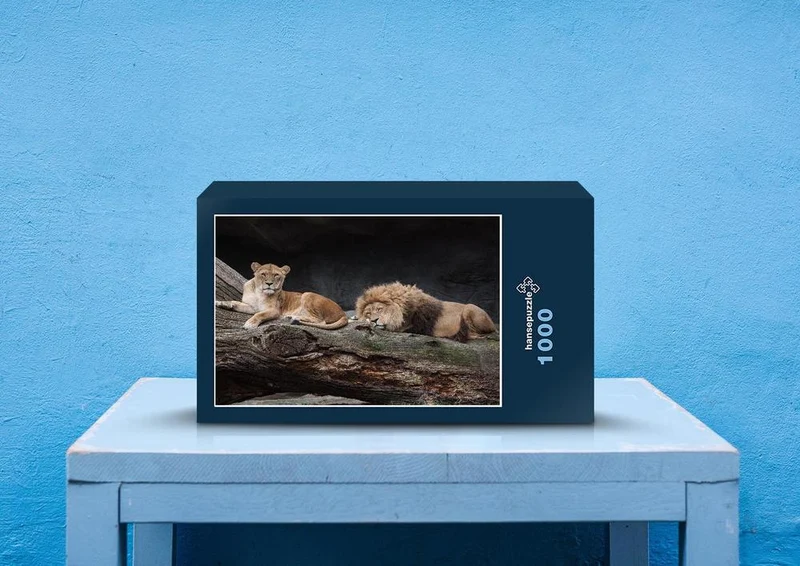 81010 Tierwelt - Löwe Puzzle
