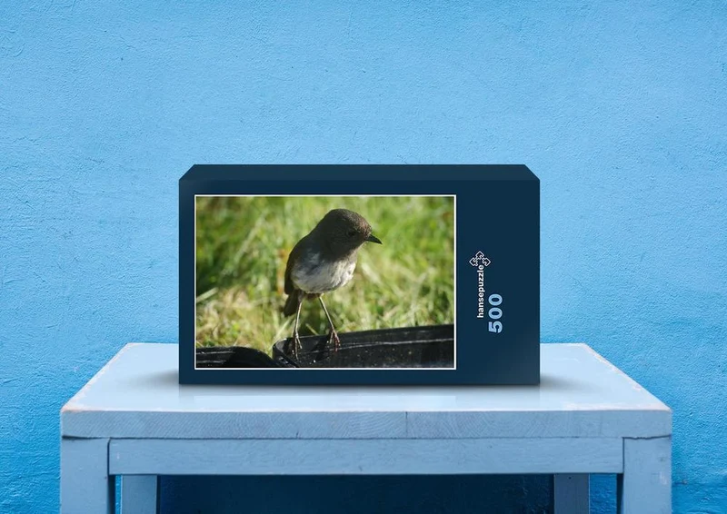 46442 Tierwelt - Kleiner vogel Puzzle