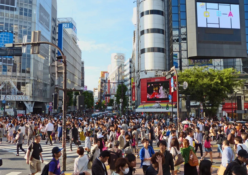 81193 Orte - Shibuya Puzzle