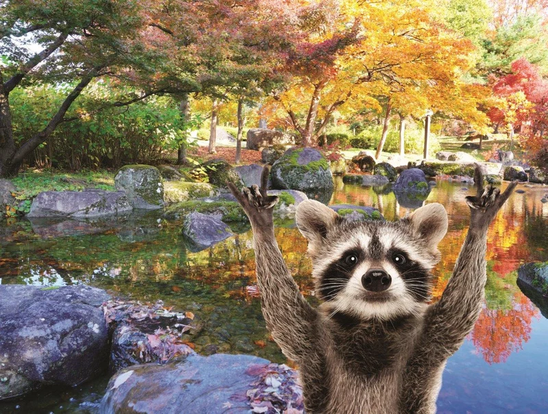 Family Time - Raccoon (200pcs)