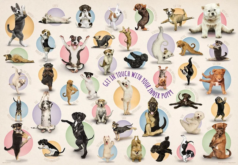 PFG Yoga Puppies, Get in Touch With Your Inner Puppy (300pcs) (Usage/Used - PUZZLES FOR GOOD)
