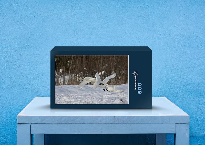 81068 Tierwelt - Gänse Puzzle