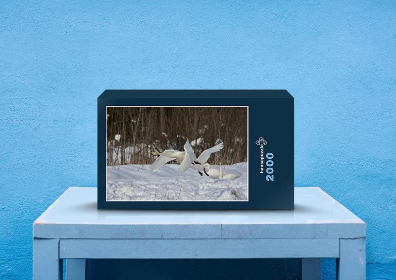 81068 Tierwelt - Gänse Puzzle